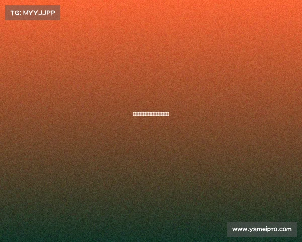 快船队稳扎稳打，战术安排完美